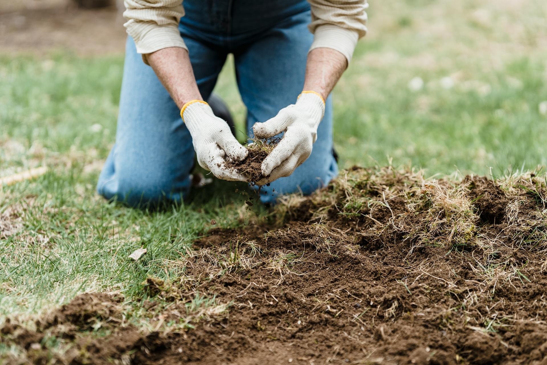 How to Prepare Your Soil for Healthy Plant Growth - Thriving Garden Secrets