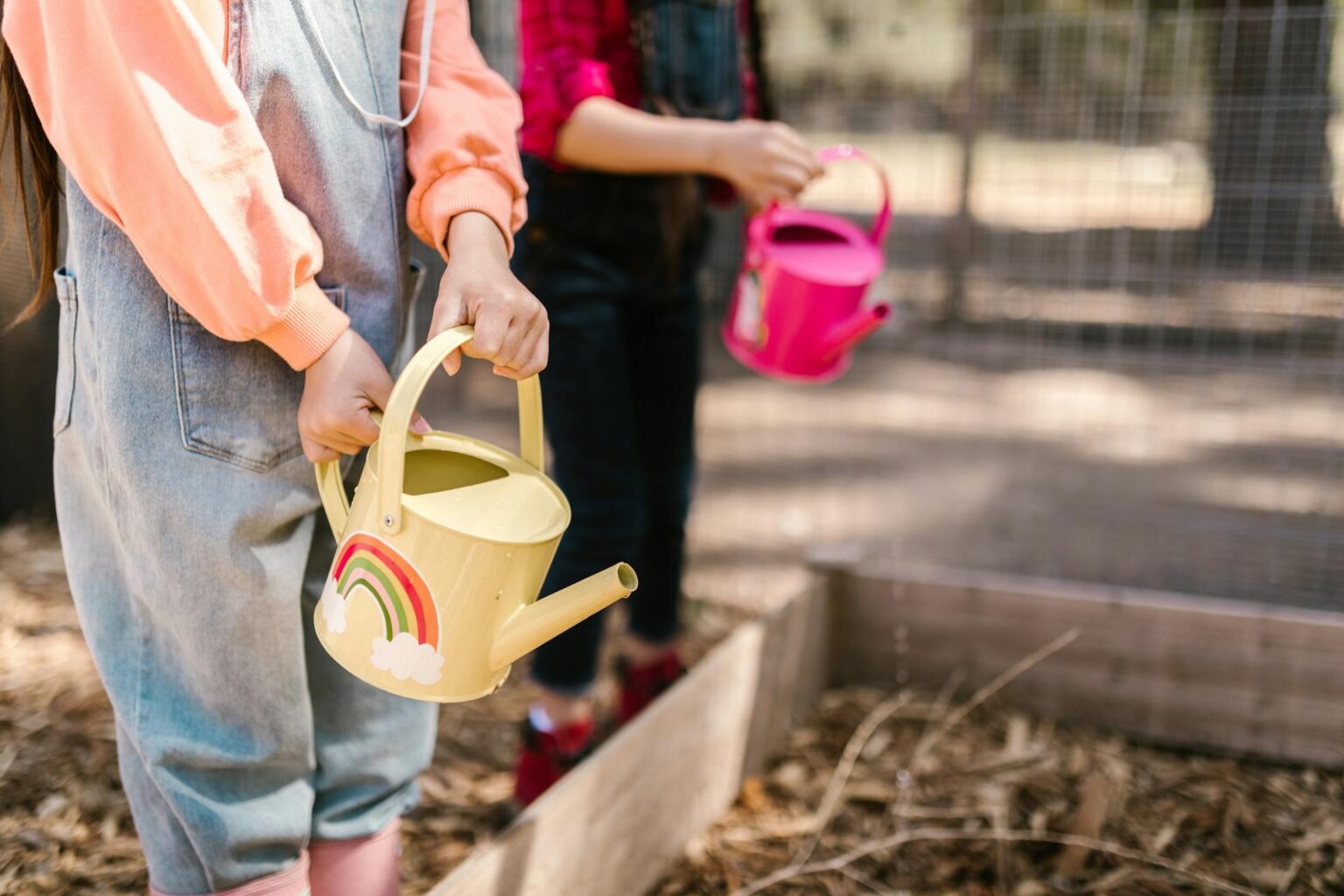 Top 10 Must-Have Gardening Tools for Beginners - Thriving Garden Secrets